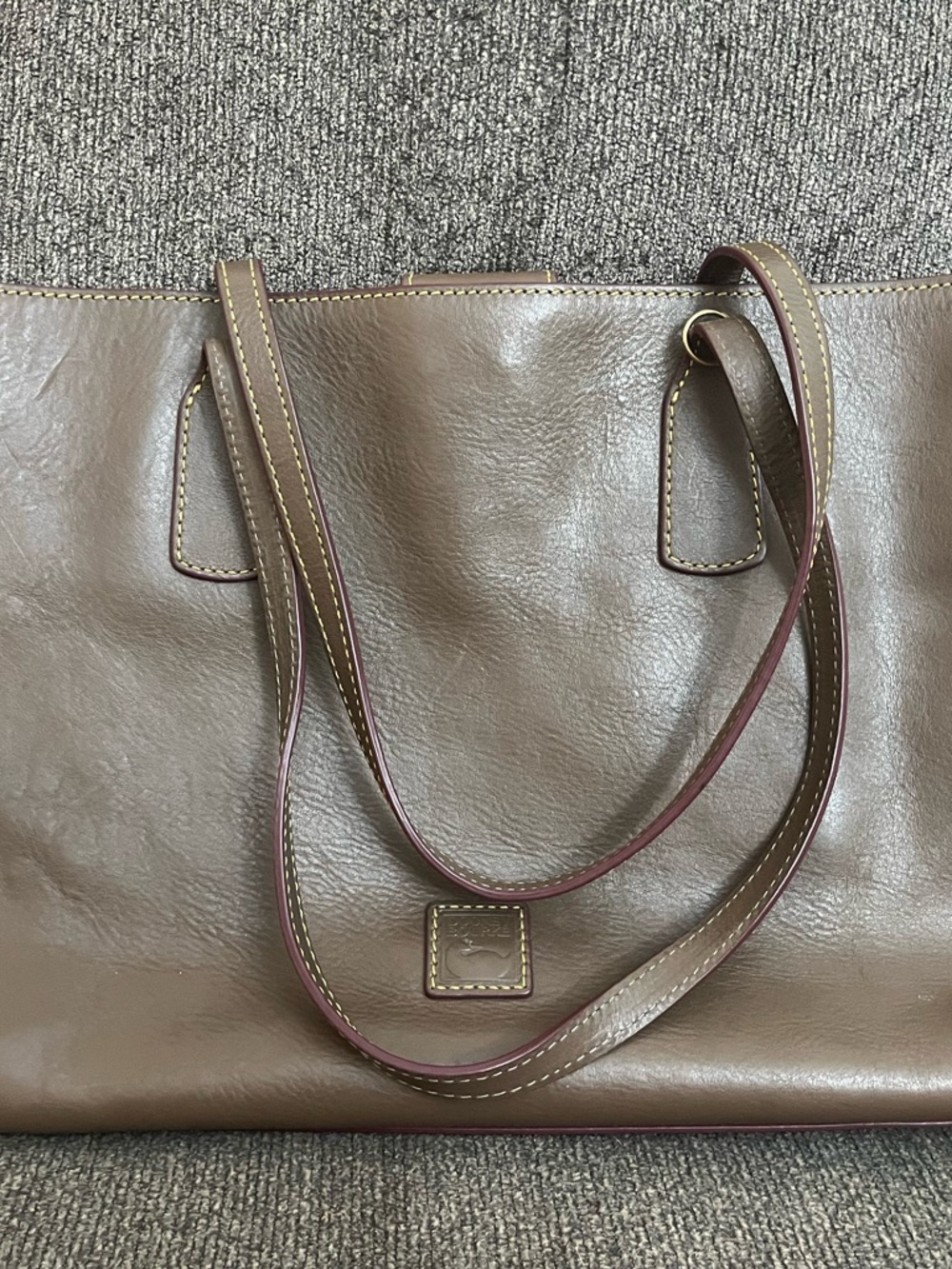 Dooney & Bourke Florentine Ashton Tote in Elephant